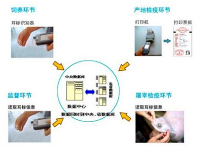 RFID牲畜耳标管理方案